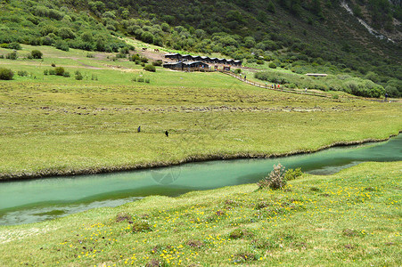 六月风景稻城亚丁绿油油唯美风景背景