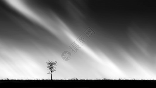 黑白点树素材山水田园风光的照片背景