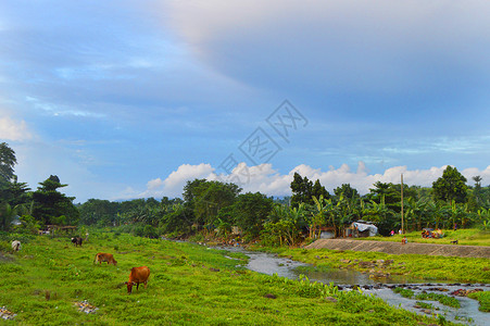 菲律宾米沙鄢群岛奥尔莫克Ormoc乡村自然风光背景