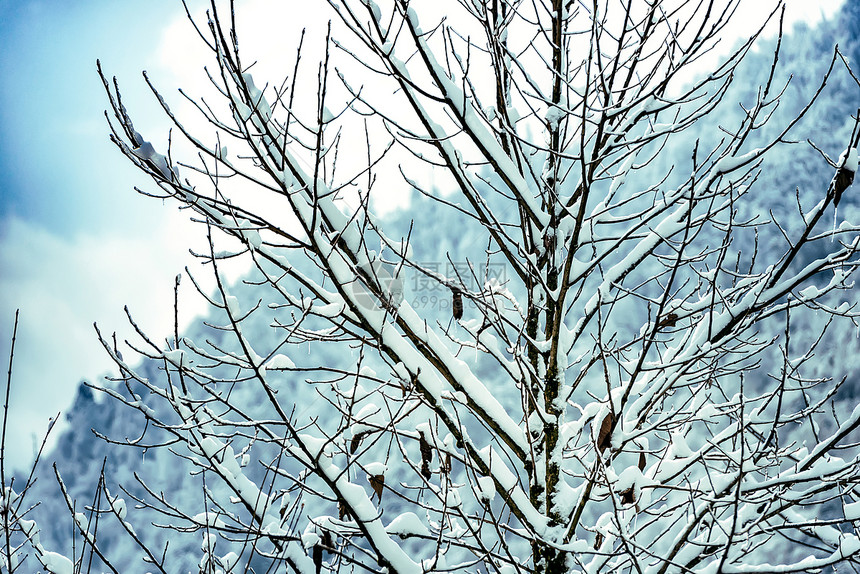 川西雪景图片