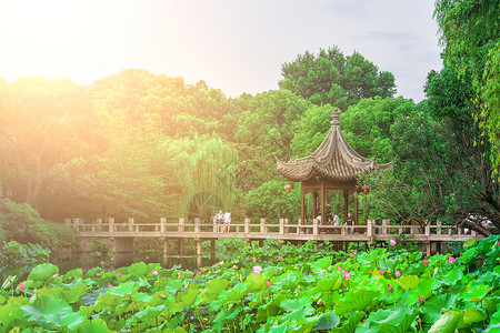 赏荷一家人上海古漪园背景