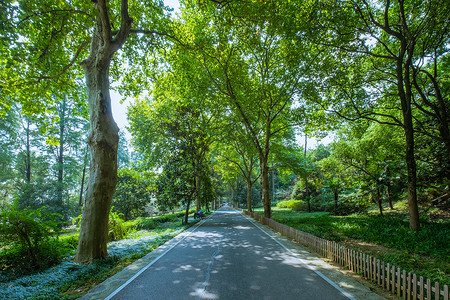 无树的路素材武汉东湖绿道背景