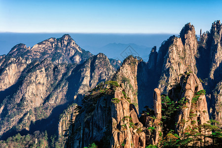 峭壁挂松黄山风光背景