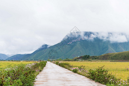 山间的路云雾缭绕背景