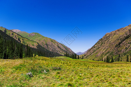 森林山川背景图片