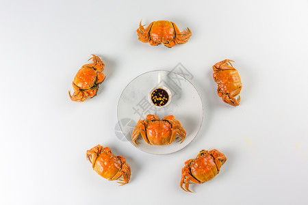 传统食谱螃蟹背景