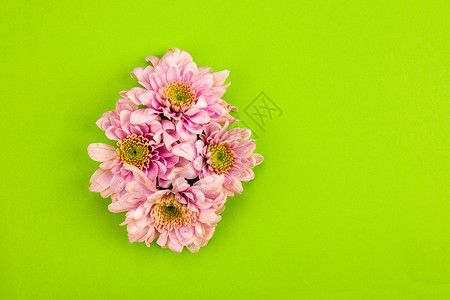 补色粉色花朵色彩组合素材背景
