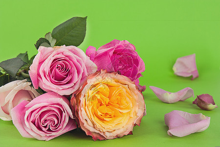 花瓣组合玫瑰花束组合静物素材背景