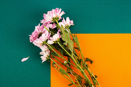 一束花与彩色搭配素材背景图片