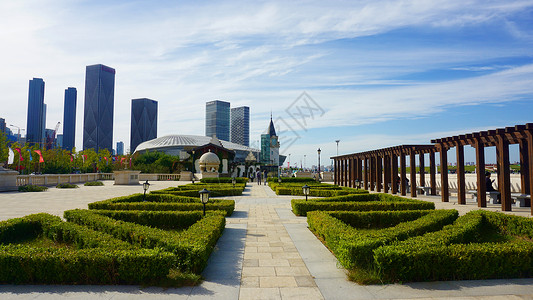 低碳发展城市和公园绿化背景