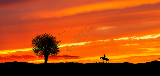 夕阳后唯美树红霞漫天骑马归背景