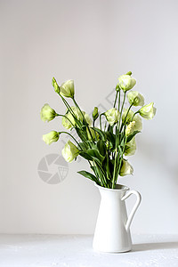 纯白家居花卉背景图片