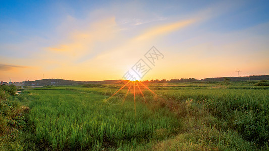 日出和田野背景图片