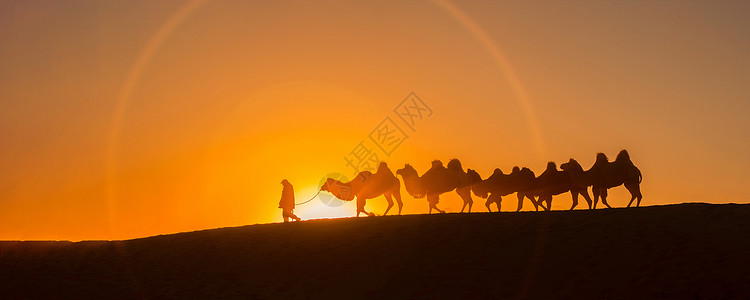 日出骆驼空旷辽阔高清图片