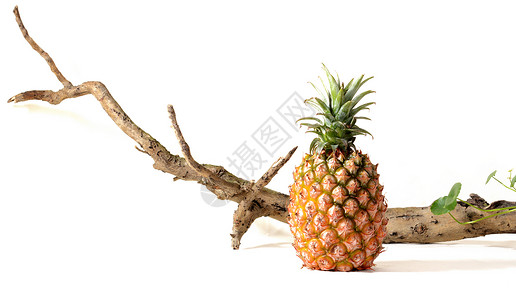 水果图片素材菠萝海南菠萝背景