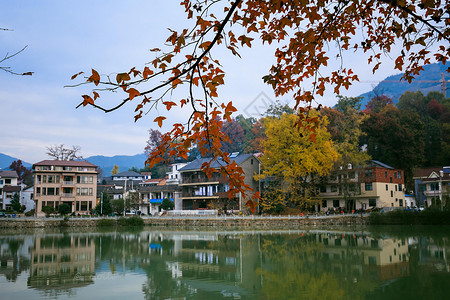 中国风江南秋景背景墙江南古镇红叶秋意浓背景