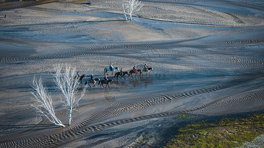 内蒙古坝上的马队背景