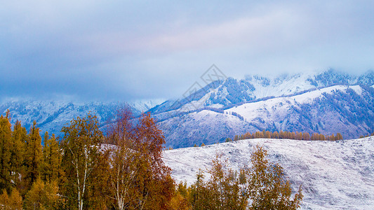 阿勒泰滑雪新疆风光图片摄影背景