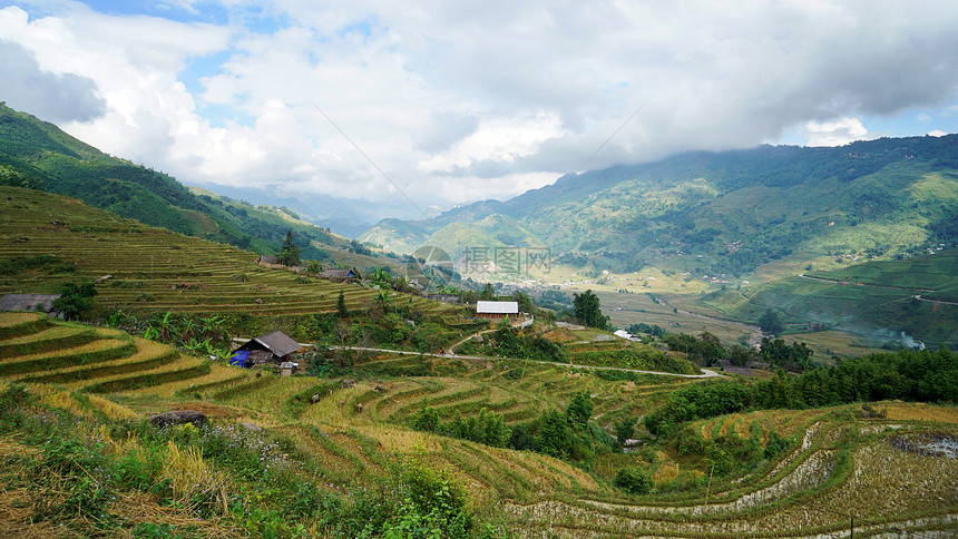 越南沙坝山地梯田图片