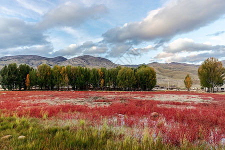 红色湿地一角背景图片