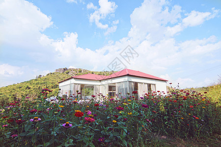 鲜花房屋红白背景素材高清图片