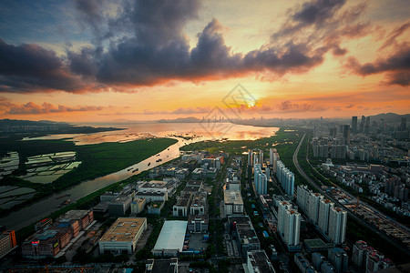 深圳湾之巅图片