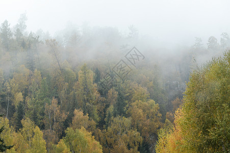 秋日晨雾背景图片