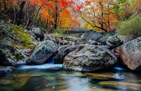 中国风山涧风景森林公园里的山涧山谷溪水和红色枫叶背景