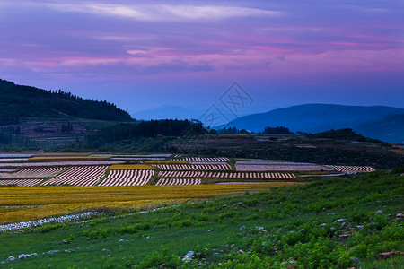 麦田山坡素材山坡坪上背景