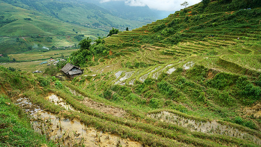 越南沙坝Sapa山地梯田图片