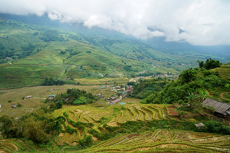 sapa越南沙坝Sapa山地梯田背景