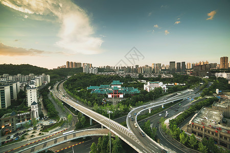 晴天马路古木峰立交背景