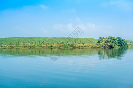 阿勒锦岛湿地公园广西西津湿地公园倒影如画背景