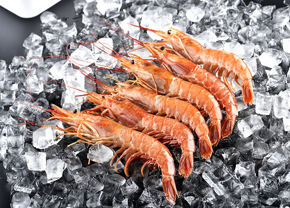 冰虾淡水虾海鲜的高清图片