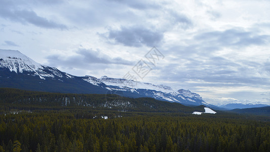 加拿大班夫国家公园森林风景背景图片