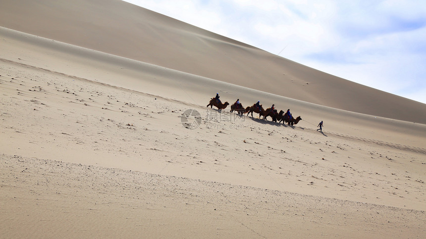 敦煌鸣沙山驼队行走沙漠中图片