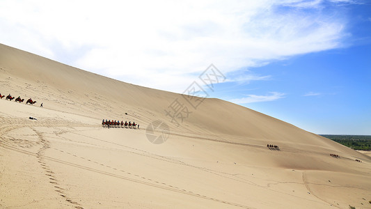 敦煌鸣沙山驼队行走沙漠中背景图片