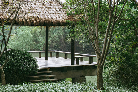 草屋林中的中式建筑背景