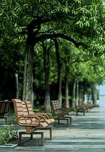路边城市公园里的椅子背景