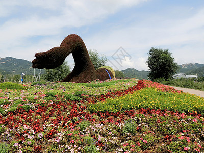 青岛世博园花雕塑高清图片