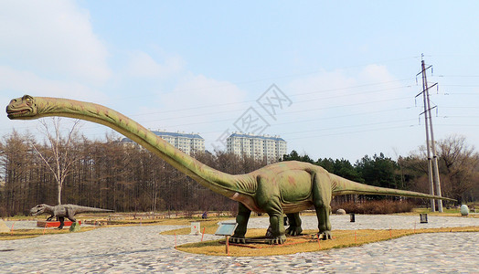 梁龙黑龙江植物园之恐龙园背景