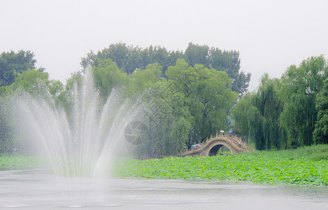 北京圆明园湖面景色背景图片