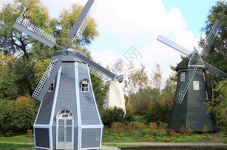 荷兰旅游黑龙江植物园风车背景