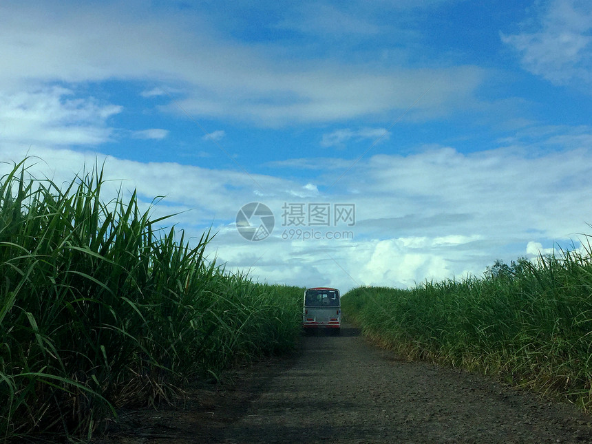 行驶在毛里求斯干净简约的田间小道上图片