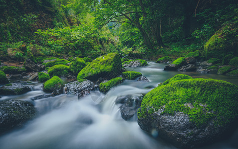 溪水与青苔背景图片