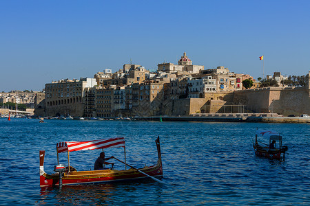 马耳他犬欧洲马耳他海边城市背景