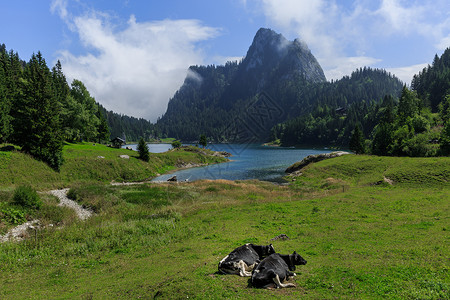 瑞士旅游 欧洲瑞士湖光山色图片