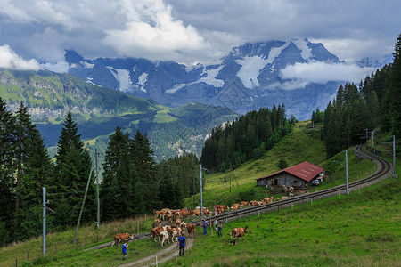 瑞士旅游  瑞士湖光山色 瑞士风景图片