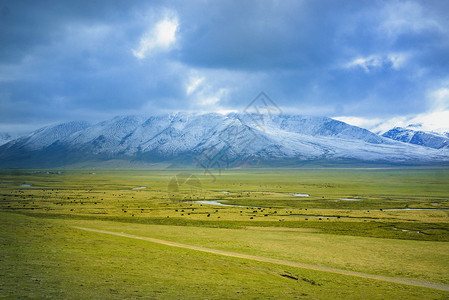 雪山草原背景图片