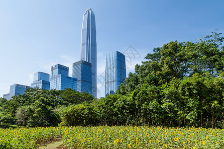 中西碰撞城市建筑与绿化背景